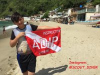 Cliquer pour agrandir